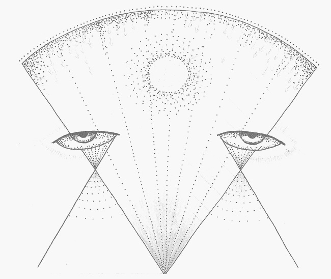 eye illustration